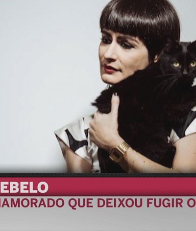 Marta Rebelo acaba relação por causa do gato