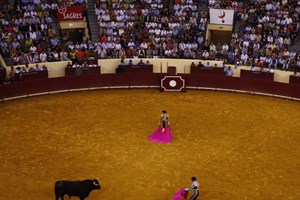 Cartel De Luxo No Campo Pequeno A Ferver Vidas