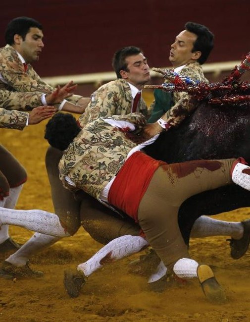 Noite De Emo Es No Campo Pequeno A Ferver Vidas