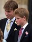 Harry, fortuna, festa, aniversário, Inglaterra, Diana, Pippa Middleton, príncipe Carlos, fortuna