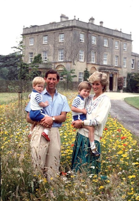 Harry, fortuna, festa, aniversário, Inglaterra, Diana, Pippa Middleton, príncipe Carlos, fortuna