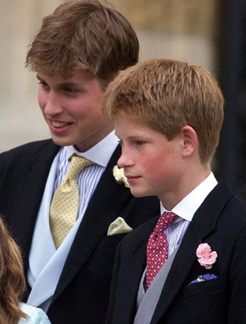 Harry, fortuna, festa, aniversário, Inglaterra, Diana, Pippa Middleton, príncipe Carlos, fortuna