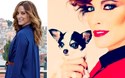 Maria João Bastos, cadela, chihuahua, Amélie, animal de estimação