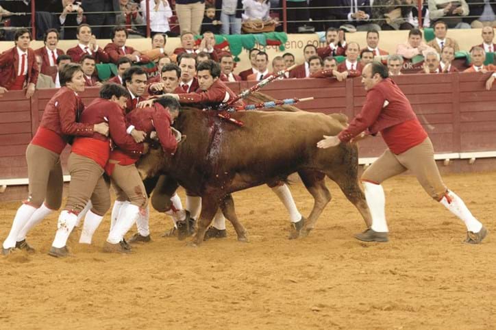 Forcados Amadores de Évora vão pegar na arena do Campo Pequeno   