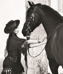 Madonna compra cavalos portugueses