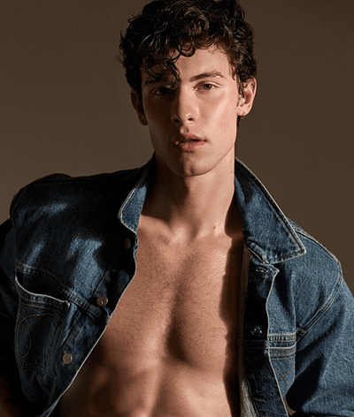 Shaw Mendes em sessão sensual