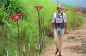 Em Janeiro de 1997, Diana de Gales deslocou-se a em Angola em missão pela retirada das minas terrestres nos campos de guerra