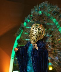 Saiba quem é o Pavão da 'Máscara' 
