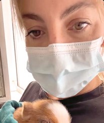 Jessica Athayde adota porco bebé