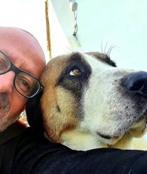 Manuel Luís Goucha faz apelo após os seus cães fugirem do monte no Alentejo