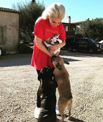 Cães de Lady Gaga roubados após assalto à mão armada com tiroteio