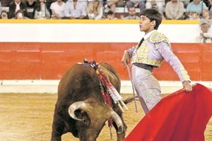 Miúdo de 16 anos leva Moita à loucura em tourada