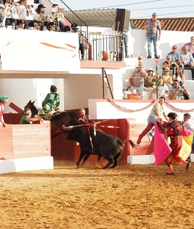 Luís Rouxinol evitou que touro escapasse pela porta dos cavalos para o exterior da praça em Évora